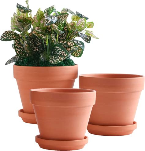 8 inch planter with saucer|8 inch planter pot clearance.